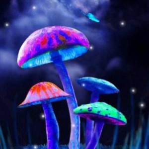 mushroomsfranklin032415