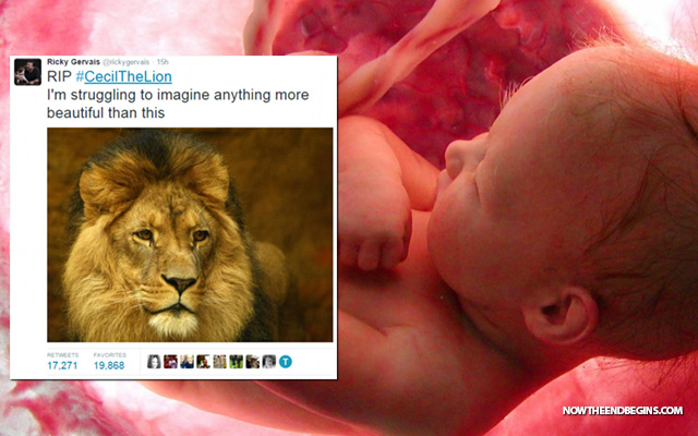 Outrage Over Dead Lion; Silence Over Slain Babies