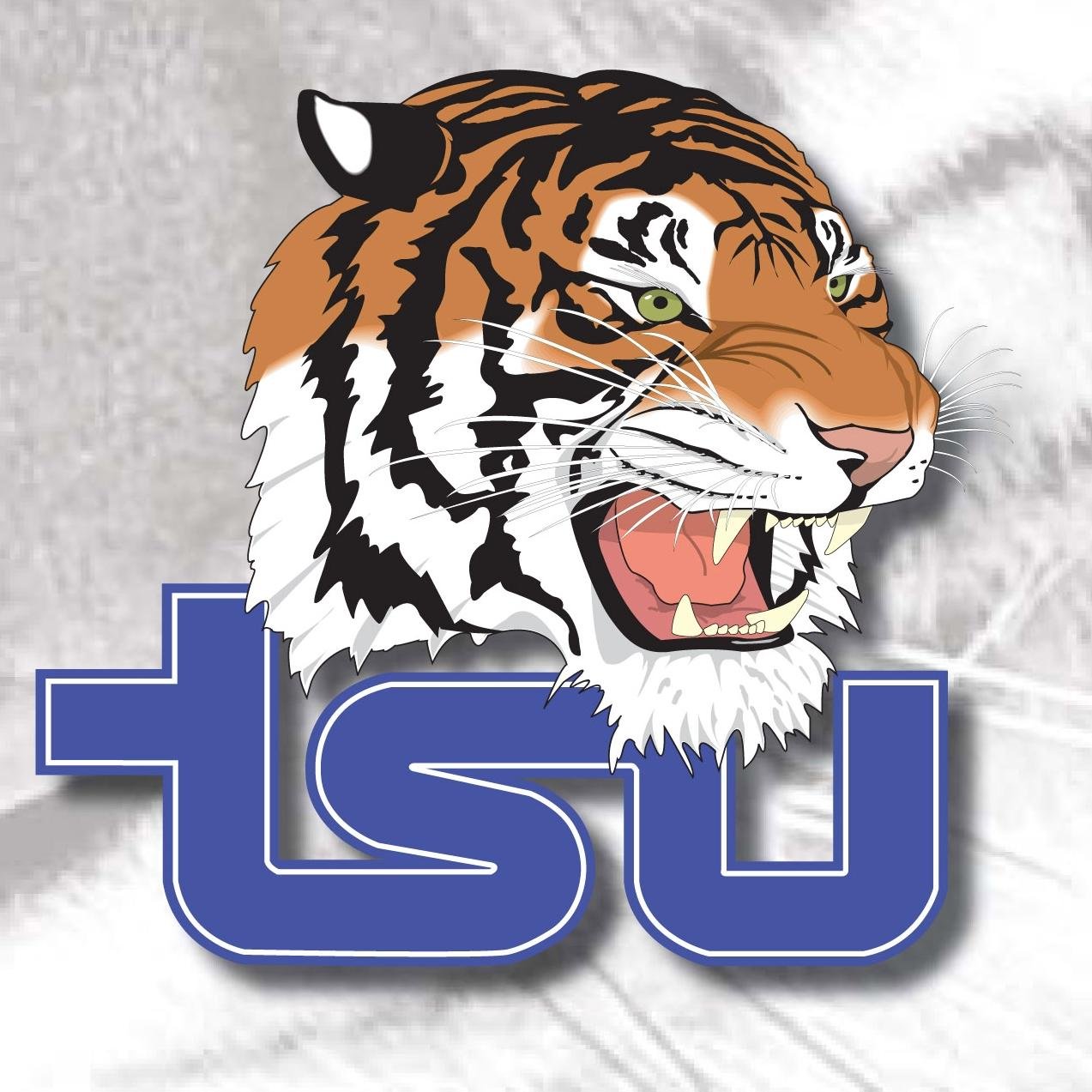 Fox17 Blows Open Continuing Security Problems at TSU