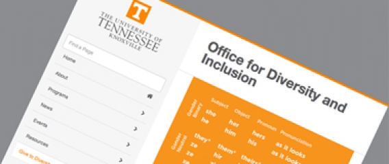 Extremism in UT Diversity Office May Lead to Budget Cuts