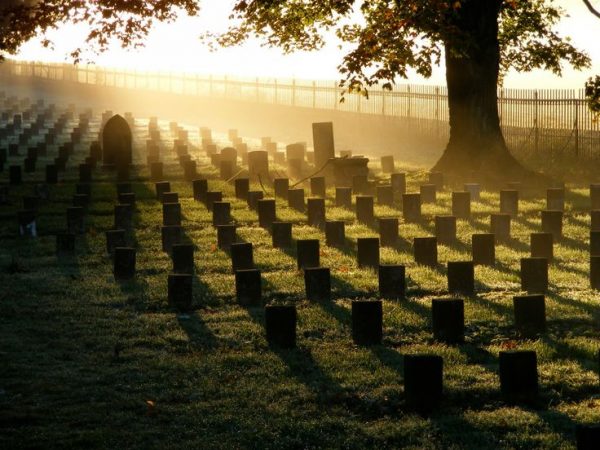 Shock As Most Americans Don’t Understand Memorial Day