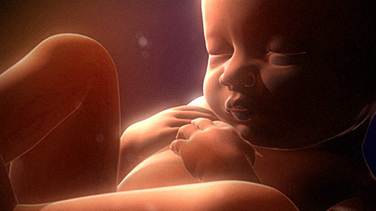 Pending Legislation Would Ban Baby Body Part Trafficking